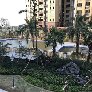 绿洲华府 日光传奇 强势回归