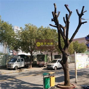 YJ000999 南洋路厂房 镇中心地段 带租出售