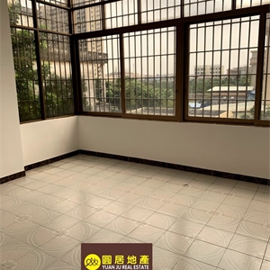 YJ001533自建房 全新装修 拎包入住